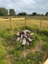 Bug Hotel