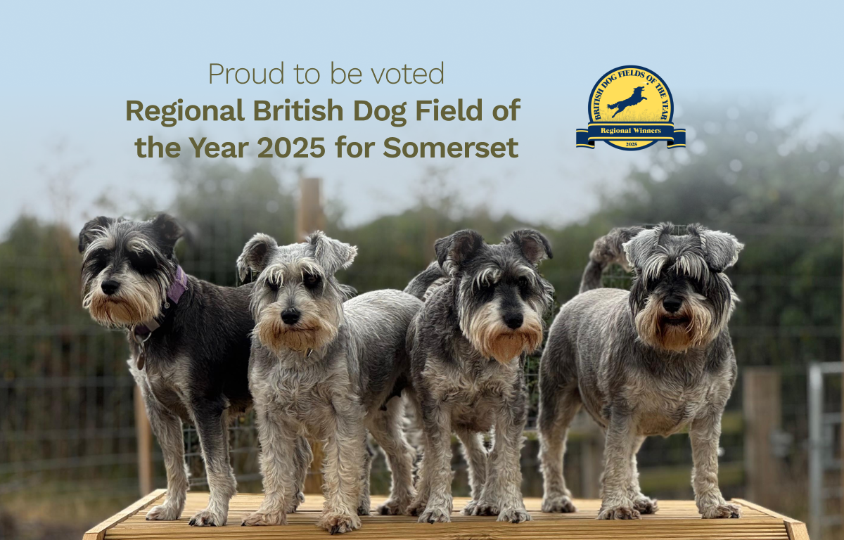 Proud to be voted Regional British Dog Field of the Year 2025 for Somerse