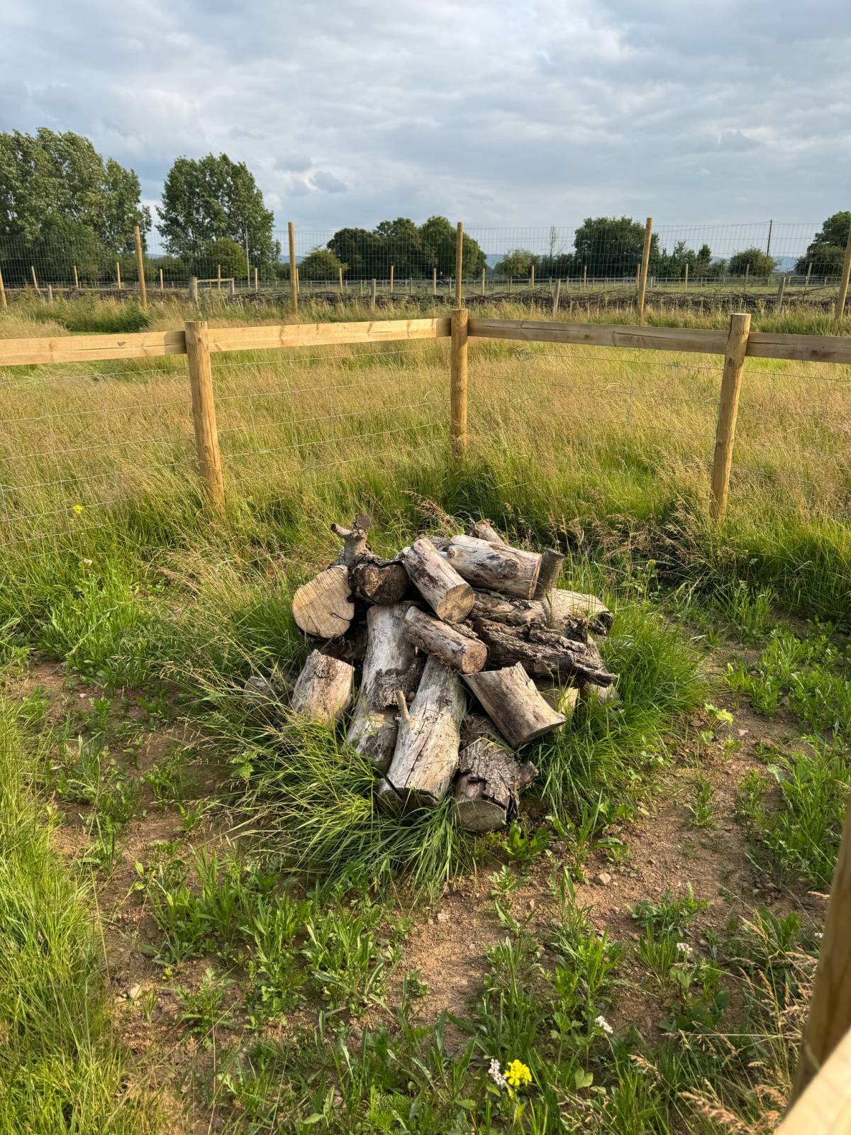 A bug hotel made from wooden logs sits inside a smaller fenced-off zone within the dog park, surrounded by long summer grass. This area adds a natural play or sniffing feature for dogs to explore.